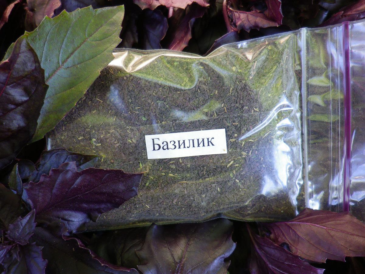 Базилик сушеный, листья. Пряность, выращенная на своей земле